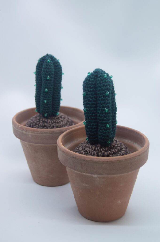 hæklet myrtilluscactus