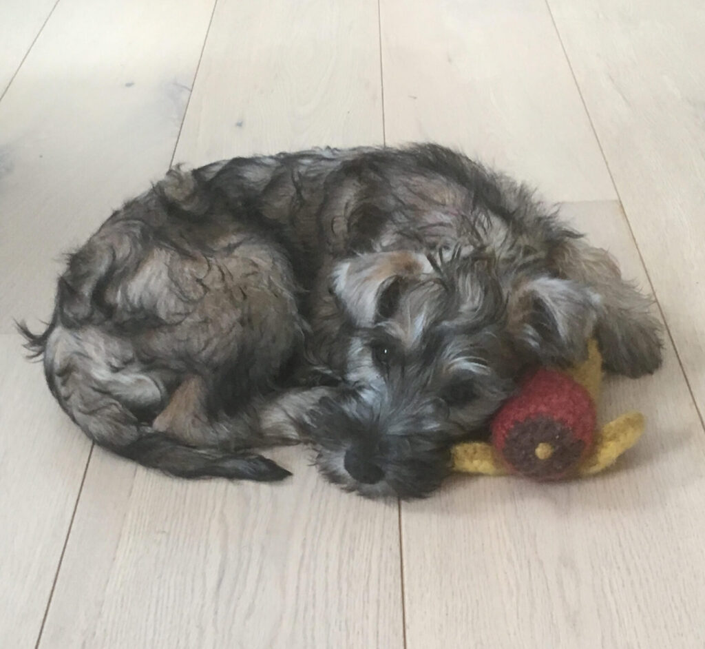 freja med rottemus