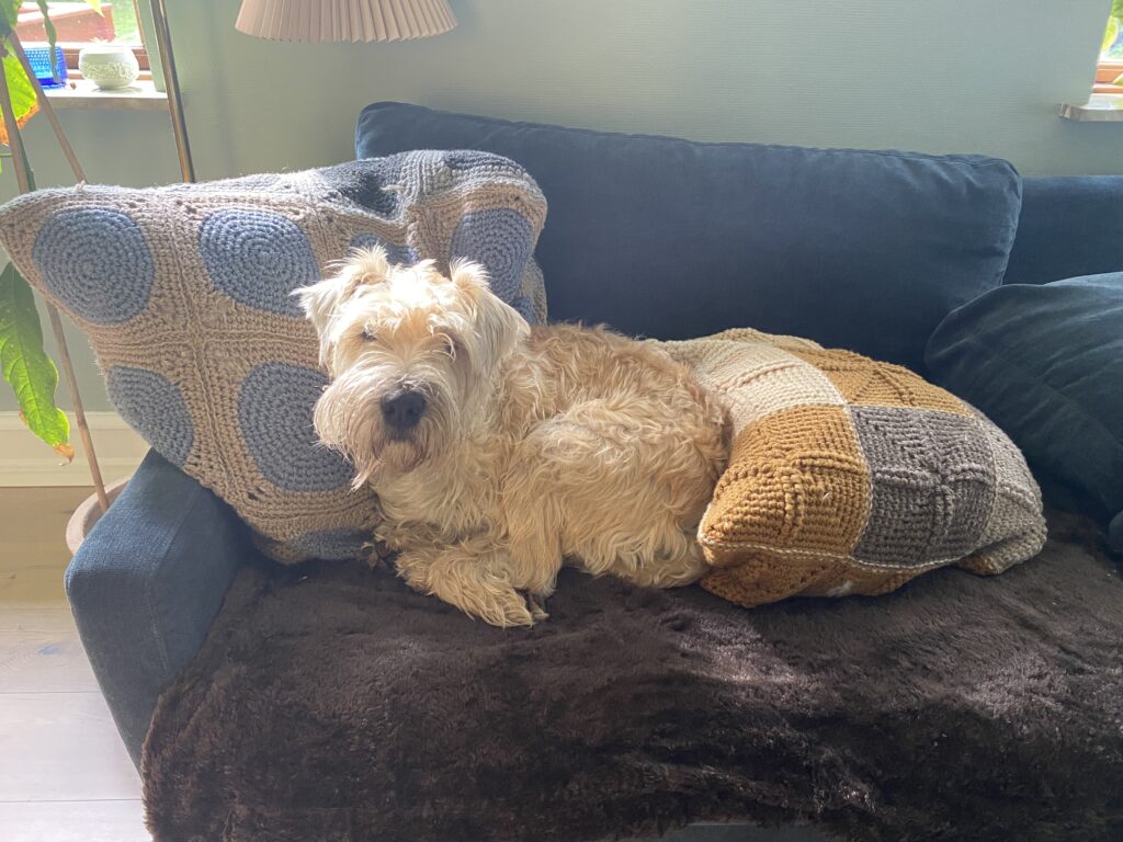 freja med puder i sofa