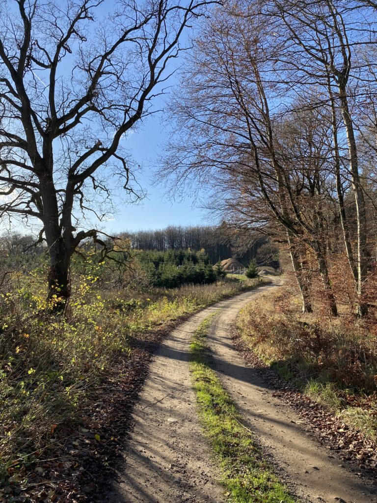skov