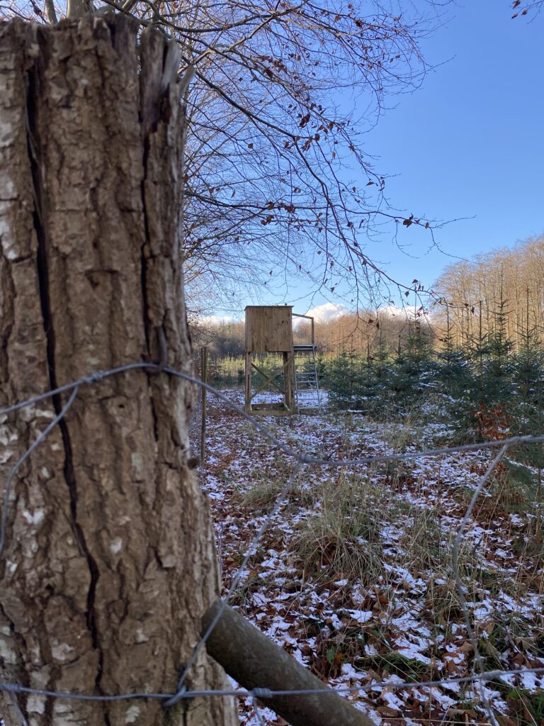 skov
