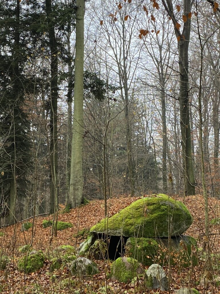 skov og stendysse