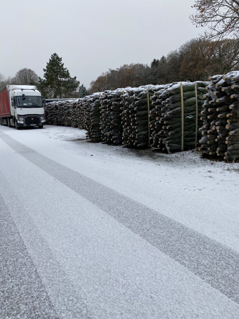vinterstemning