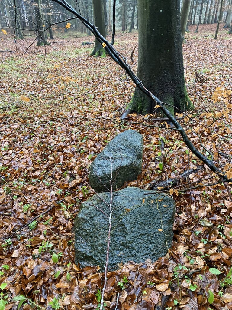 skov
