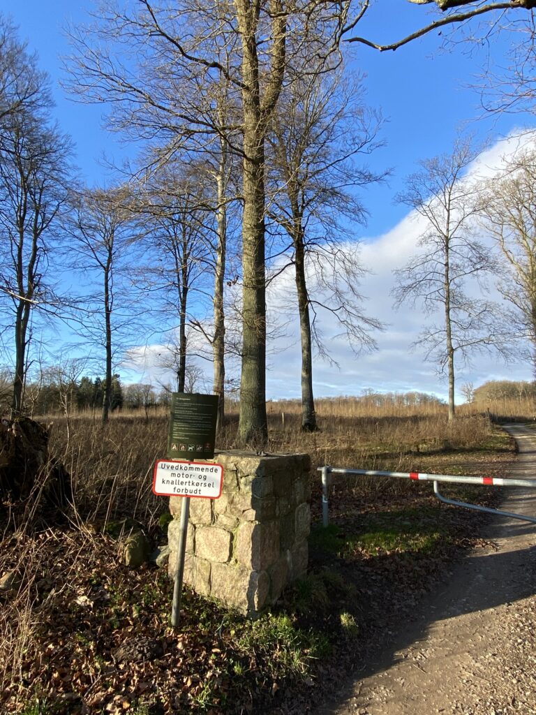 skov