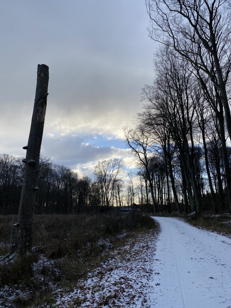 vinterstemning