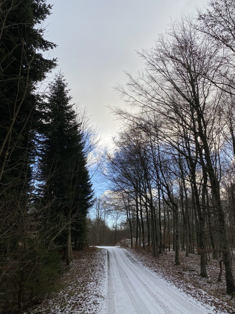 vinterstemning