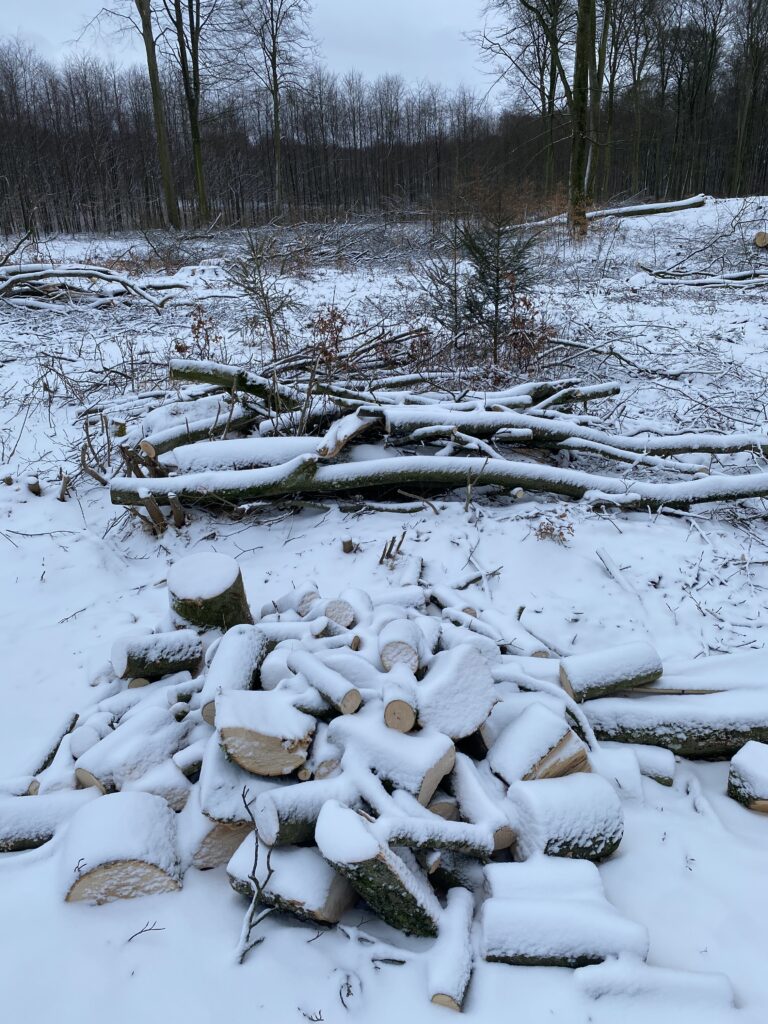 vinterstemning