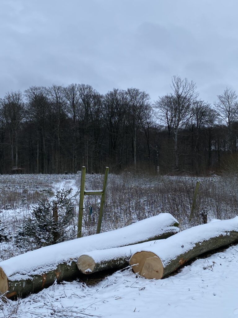 vinterstemning