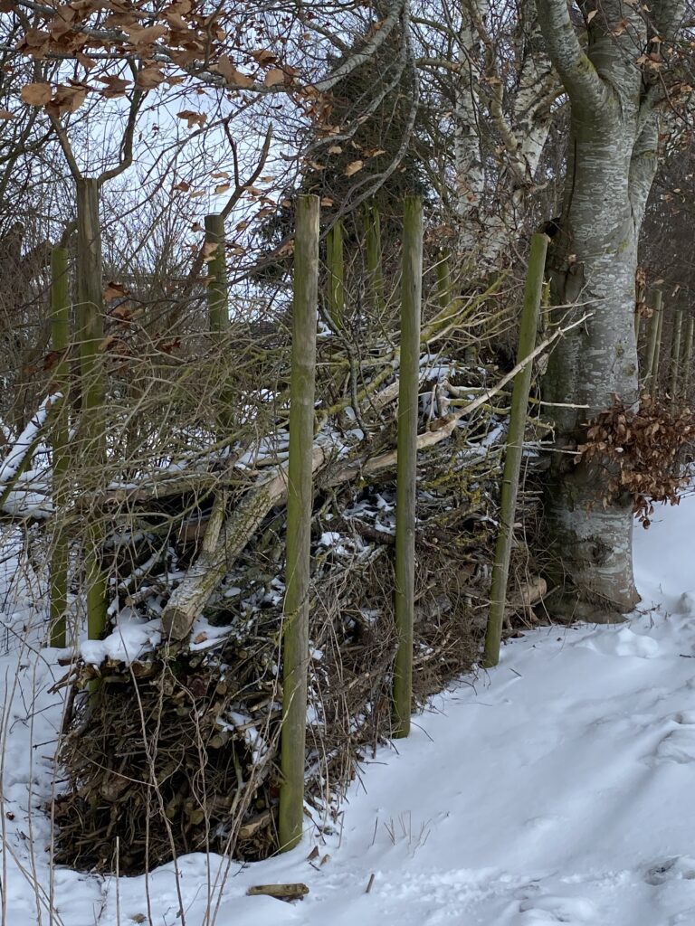 vinterstemning