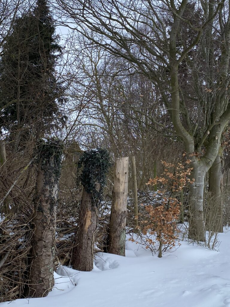 vinterstemning