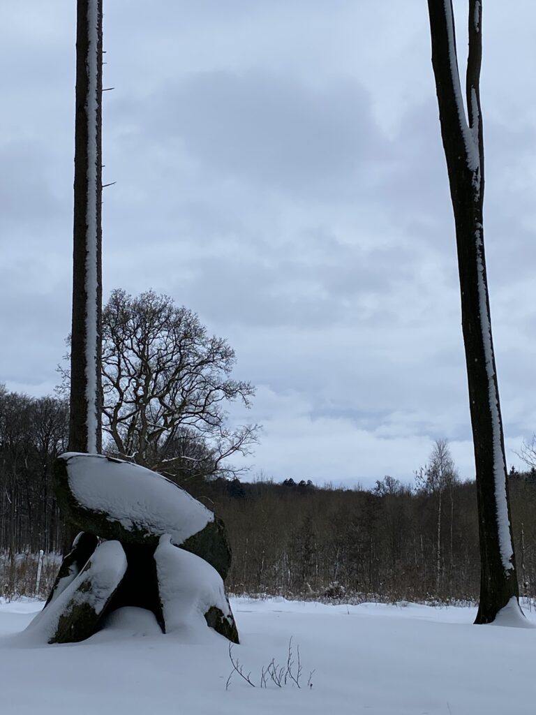 vinterstemning