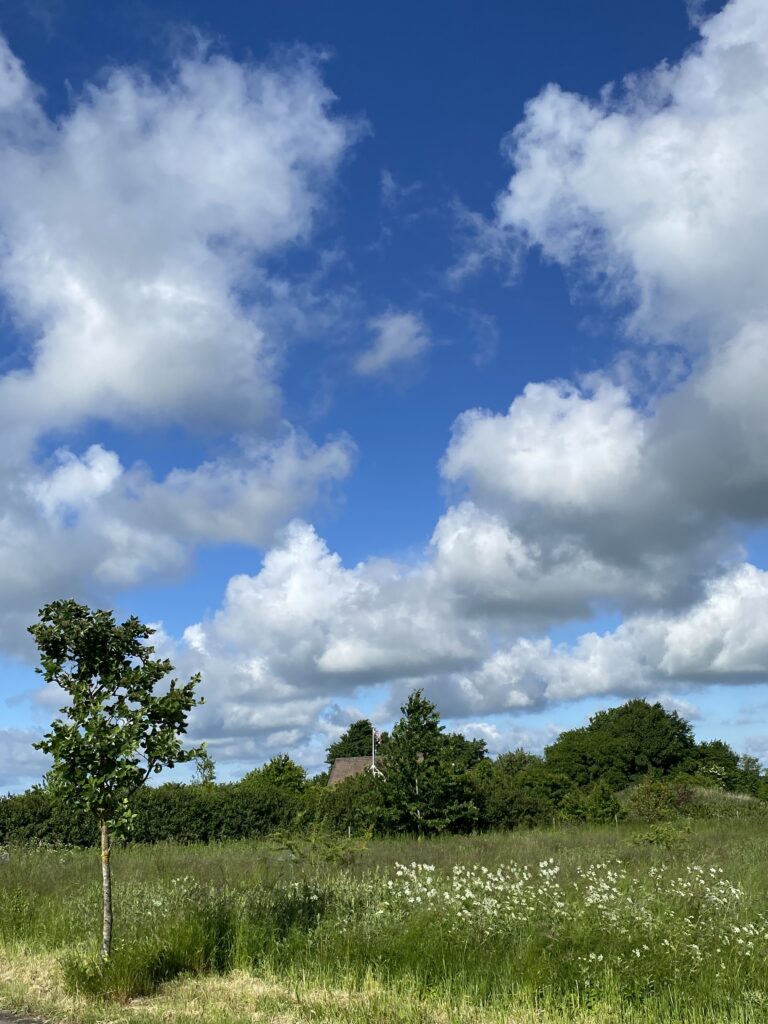 junihimmel