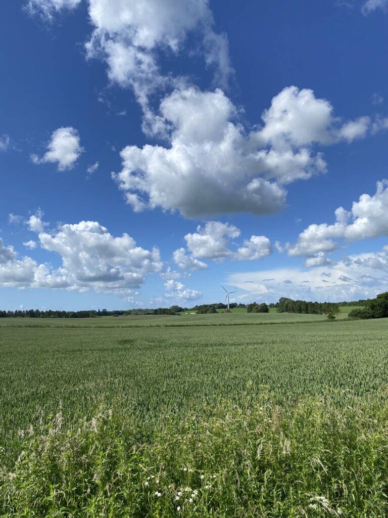 junihimmel