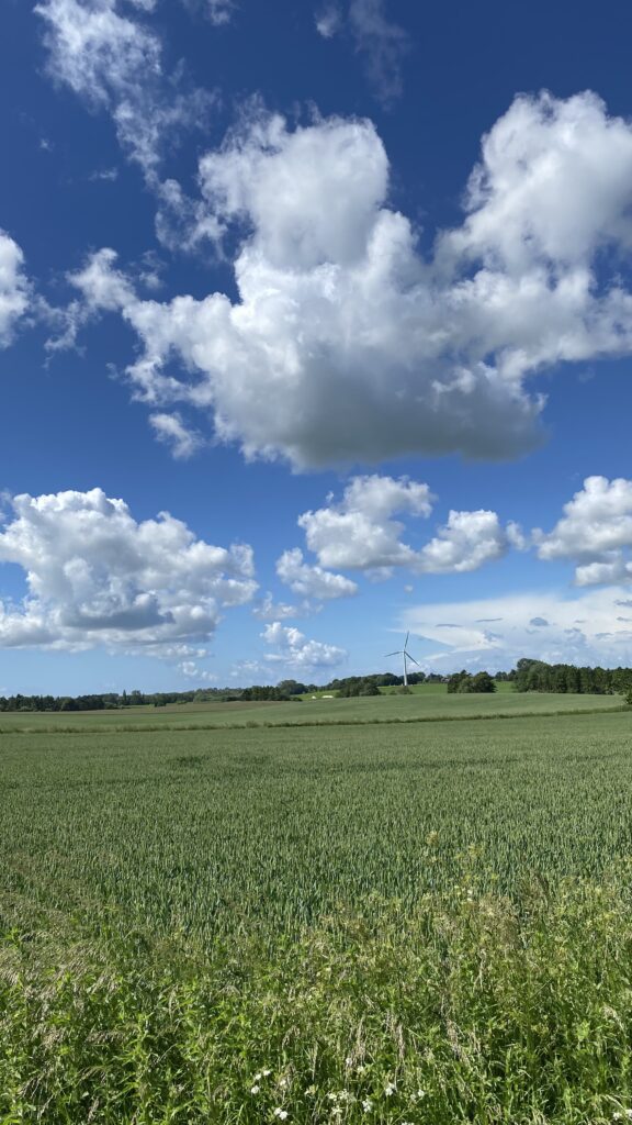 junihimmel