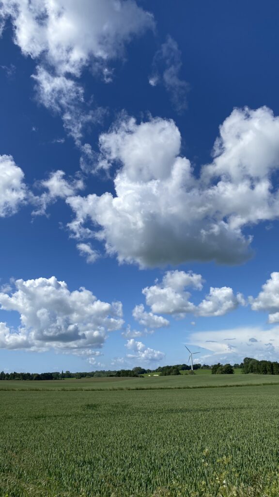 junihimmel