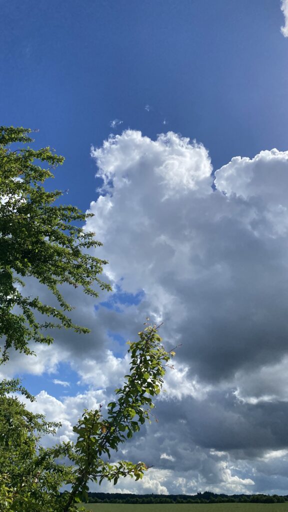 Junihimmel sommer