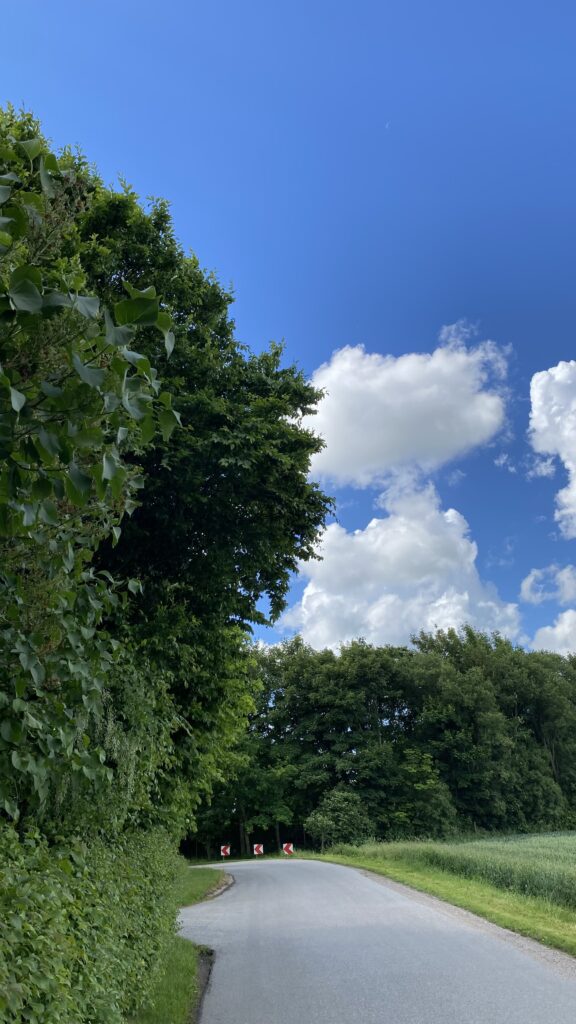 Junihimmel sommer