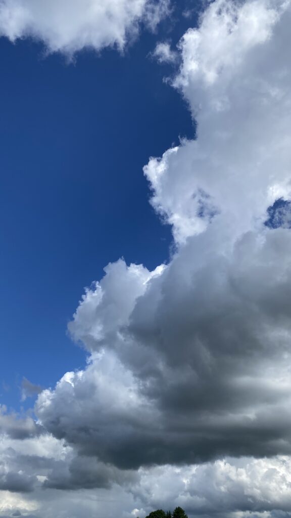 Junihimmel sommer
