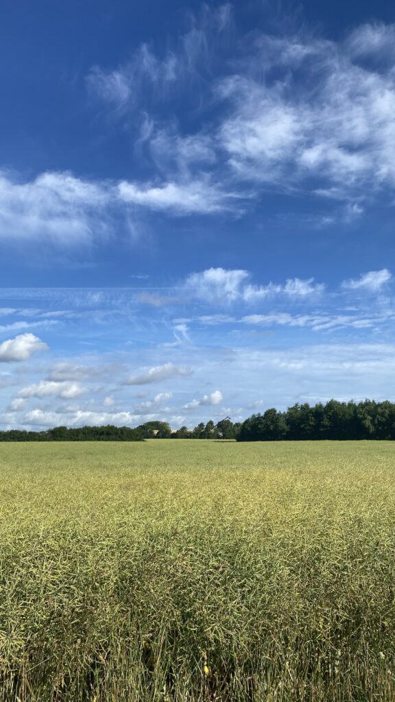 Sommerhimmel i juni