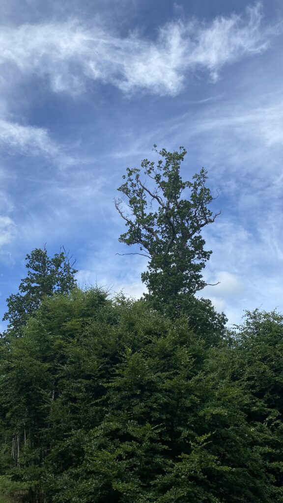 Sommerhimmel i juni