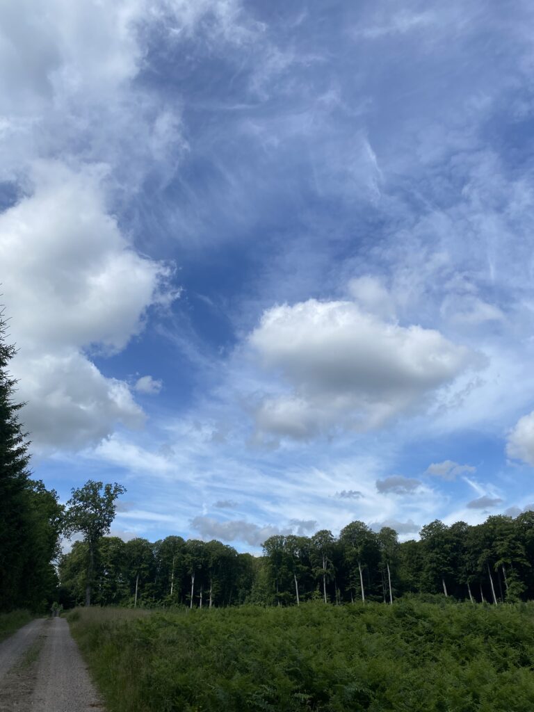 Sommerhimmel i juni