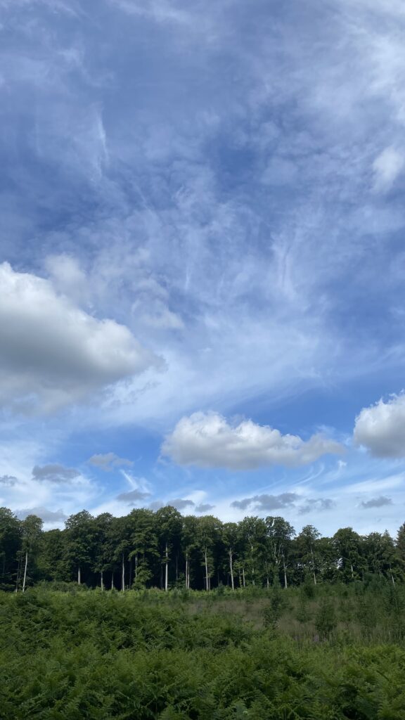 Sommerhimmel i juni